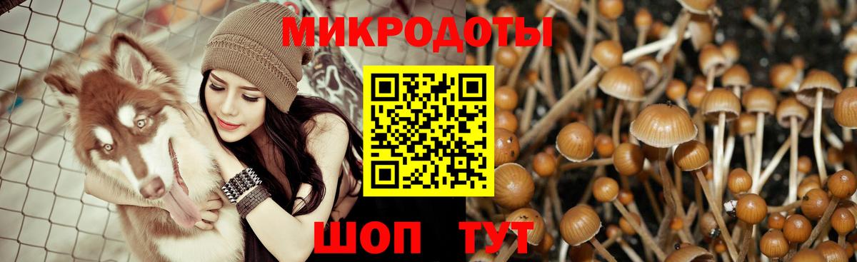Галлюциногенные грибы прущие грибы Вязники