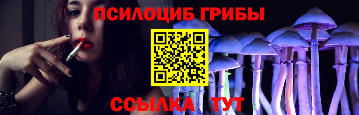 Вязники  сколько стоит  Вход с VPN  Галлюциногенные грибы Cubensis 